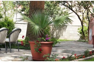 Monténégro Privát Budva, Extérieur